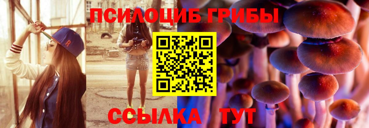 Псилоцибиновые грибы Psilocybe  Вход с VPN  Донецк 